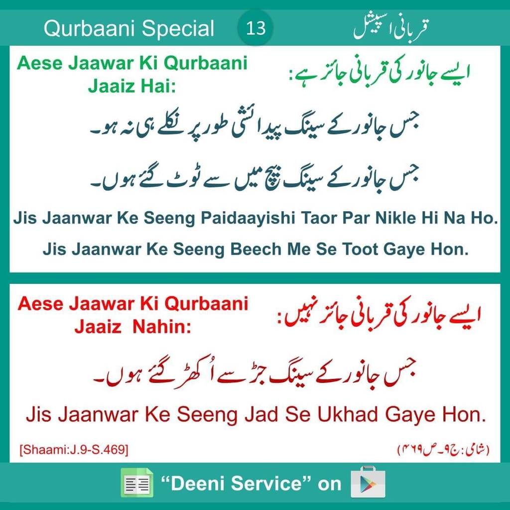 Qurbaani Special Information