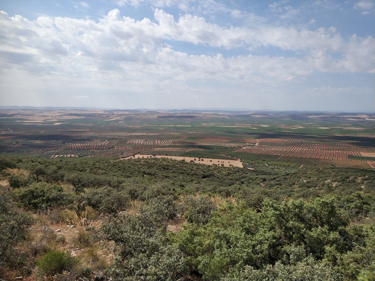 JaviPOlivares's tweet photo. Muchas veces cuando de extinción de #iiff se trata sólo medimos lo que se ha quemado, y nos olvidamos de todo lo que se salva y pudo arder. #IFMoraldeCalatrava miles de hectáreas salvada por medios de extinción. https://t.co/ziZ2eHitWz