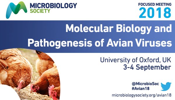 view Epics of Sumerian Kings: The Matter of Aratta