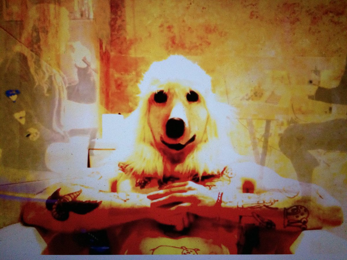FairyLoXx's tweet photo. Get a wash u stinky arsed dog #dog #dogman #frog #frogman #pop #house #scouse #scousehouse #bath #new #newmusic #tattoo #dreads #electronic #newvideo https://t.co/JgvbzuSk0R