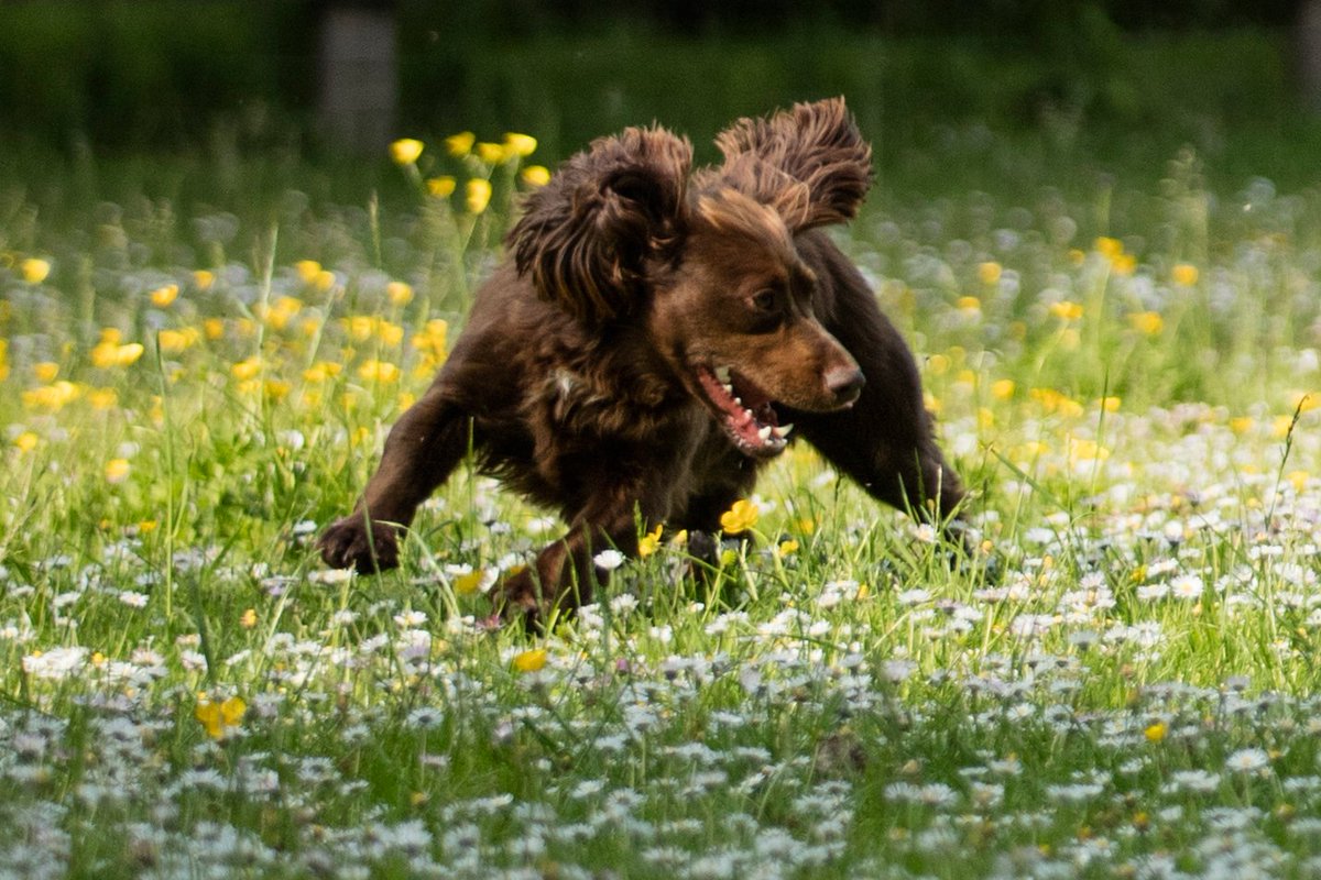 HURRY….Sale ends this weekend at alanpaine.co.uk/sale