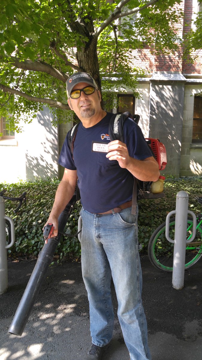 book Siegfried Kracauer : our companion in misfortune 2015