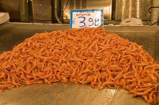 The Fish Site (@thefishsite) on Twitter photo #Shrimp producers and processors must learn from the #salmon sector by diversifying their product range and increasing demand if they are to avoid a prolonged price crash, according to a new report: thefishsite.com/articles/why-s… @RabobankGroup <a href="/gorjann/">Gorjan Nikolik</a> #aquaculture #seafood #Shrimp producers and processors must learn from the #salmon sector by diversifying their product range and increasing demand if they are to avoid a prolonged price crash, according to a new report: thefishsite.com/articles/why-s… @RabobankGroup <a href="/gorjann/">Gorjan Nikolik</a> #aquaculture #seafood