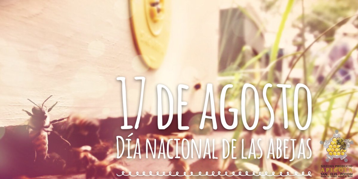SPA_SLP's tweet image. Día Nacional de las Abejas