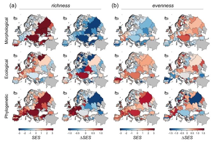 PHP Team Development: Easy and effective team work using MVC, agile development, source control, testing,