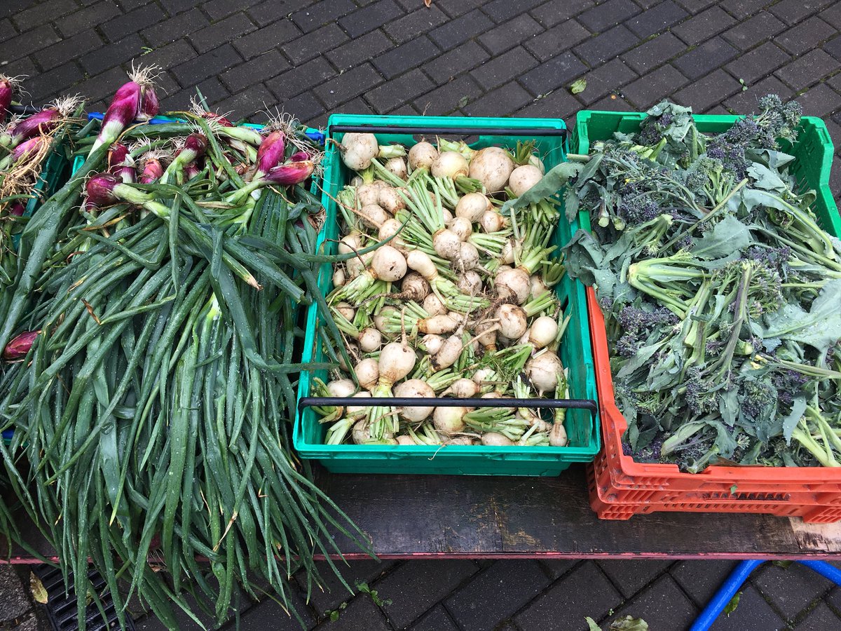 Chef Eoin Corcoran and Gardener Priscilla O’Reilly showcase the stunning fresh vegetables, herbs and fruit grown on site at <a href="/CorrigansFood/">Richard Corrigan</a>’s <a href="/VPLodge/">Virginia Park Lodge</a> in Virginia #FoodieDestinations