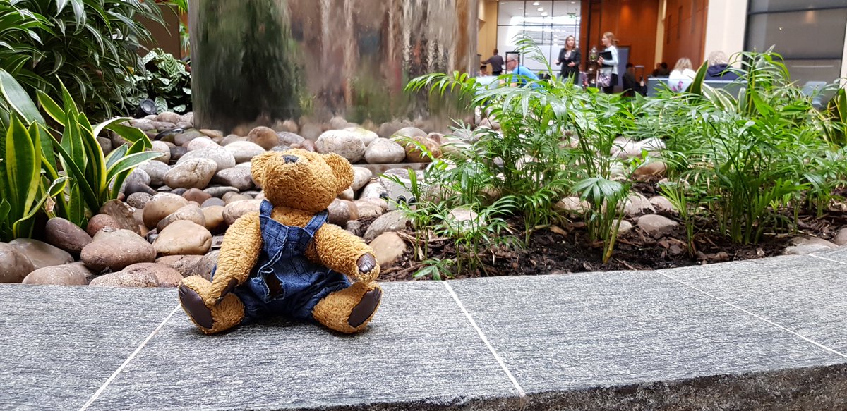 SofitelLondonGA's tweet photo. We need your help! A very lost teddy needs to be reunited with its family, but not to worry, our ambassadors are taking very good care of him in the meantime. π»π
Retweet, like or share to help us bring a family back together! #SofitelGatwick #SofiBear https://t.co/RNoe6iIZBB