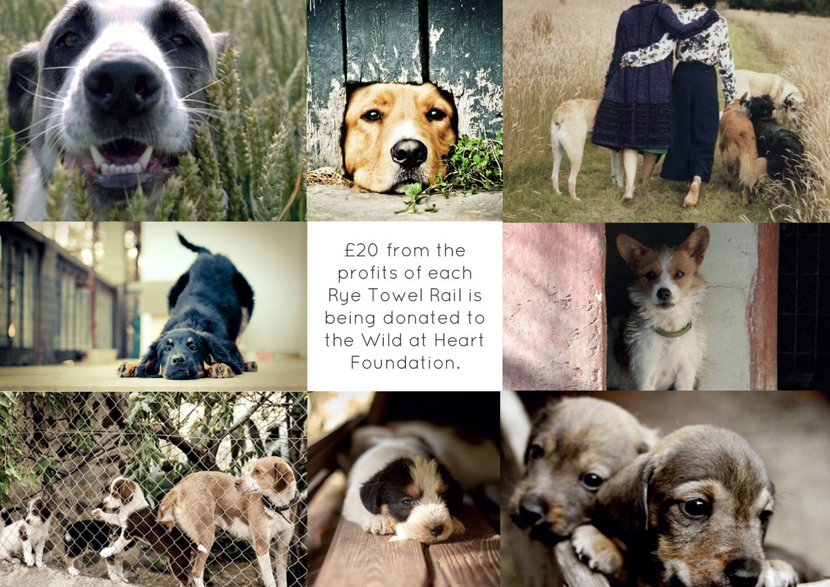 In September 2017, we launched our charity initiative with <a href="/WAHFoundation/">WeAreHereFoundation</a>, one year on and we are pleased to be supporting them yet again. The Wild at Heart Foundation is a British non-profit charity which funds and supports animal welfare projects around the world.#animalwelfare