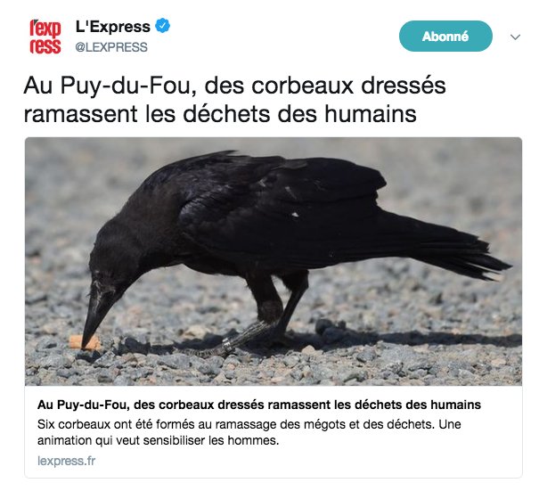 Nain Portekoi 🇨🇵 tweet media