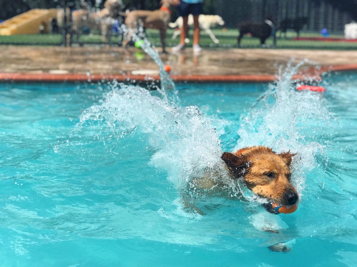 PPRUniversity's tweet image. Life is short, make a splash💦