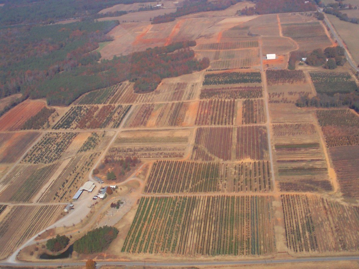 Hunter_Trees's tweet photo. A view from above #huntertrees #tbt https://t.co/lMX3AUFIZG