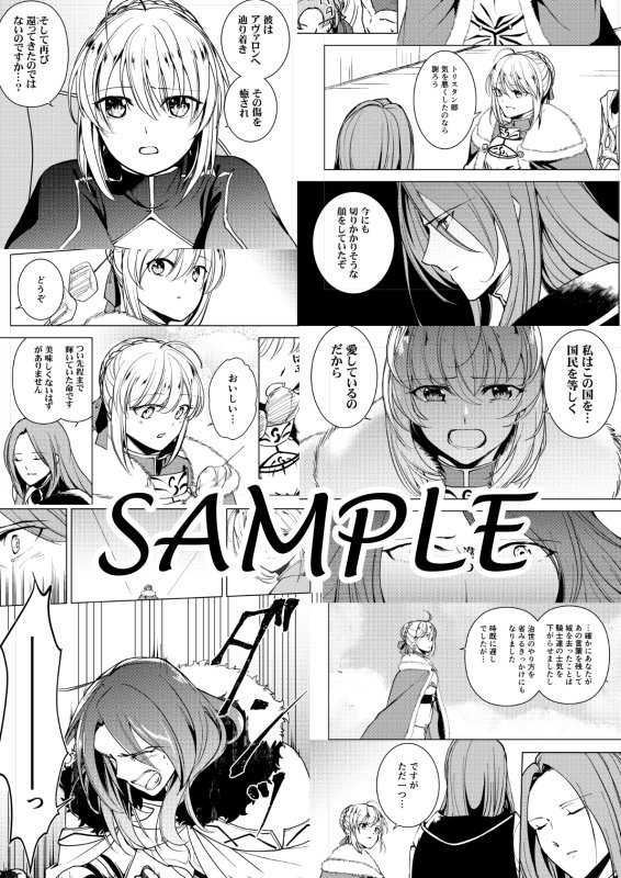 かざしのん 8 19インテお品書き スペース 6号館a ノ44a サークル ひめ拳 夏コミ新刊 その瞳に映る世界 トリスタンとアルトリアの出会いと別れとカルデアでのお話 シリアスです 既刊は トリメルやベディと王やスカサハの本があります シリアス