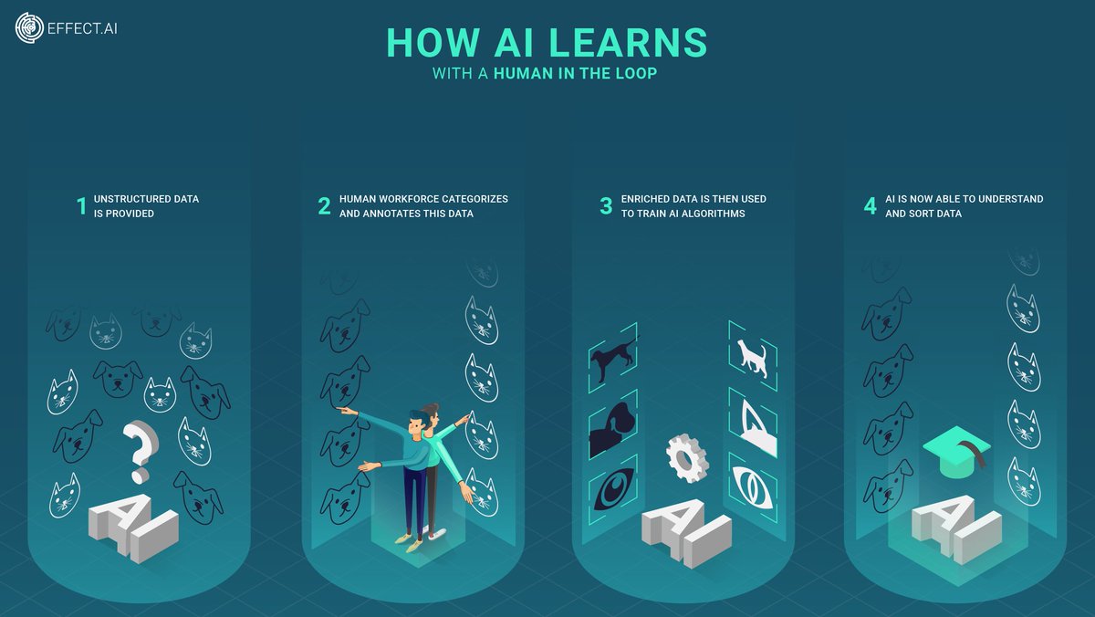 effectaix's tweet image. Why do we need human intelligence to train AI?

#AI #machinelearning #effectai #EFX