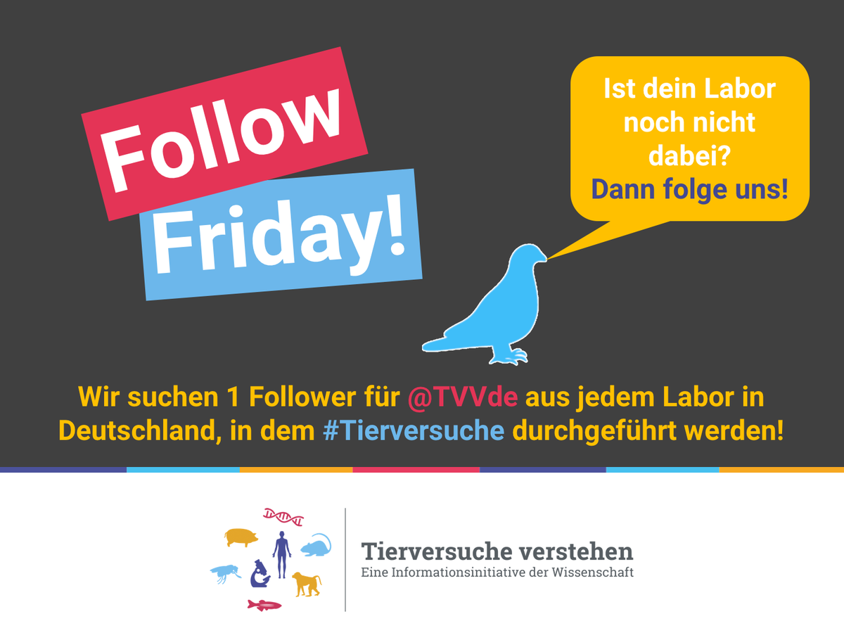 TVVde's tweet photo. Heute ist wieder #FollowFriday! Wir suchen aus jedem Labor in D, in dem #Tierversuche durchgeführt werden, mindestens einen Twitter-Account als Follower! #JoinTheDebate und sag uns: #WhyIamDoingThis https://t.co/mpJagqhe6m