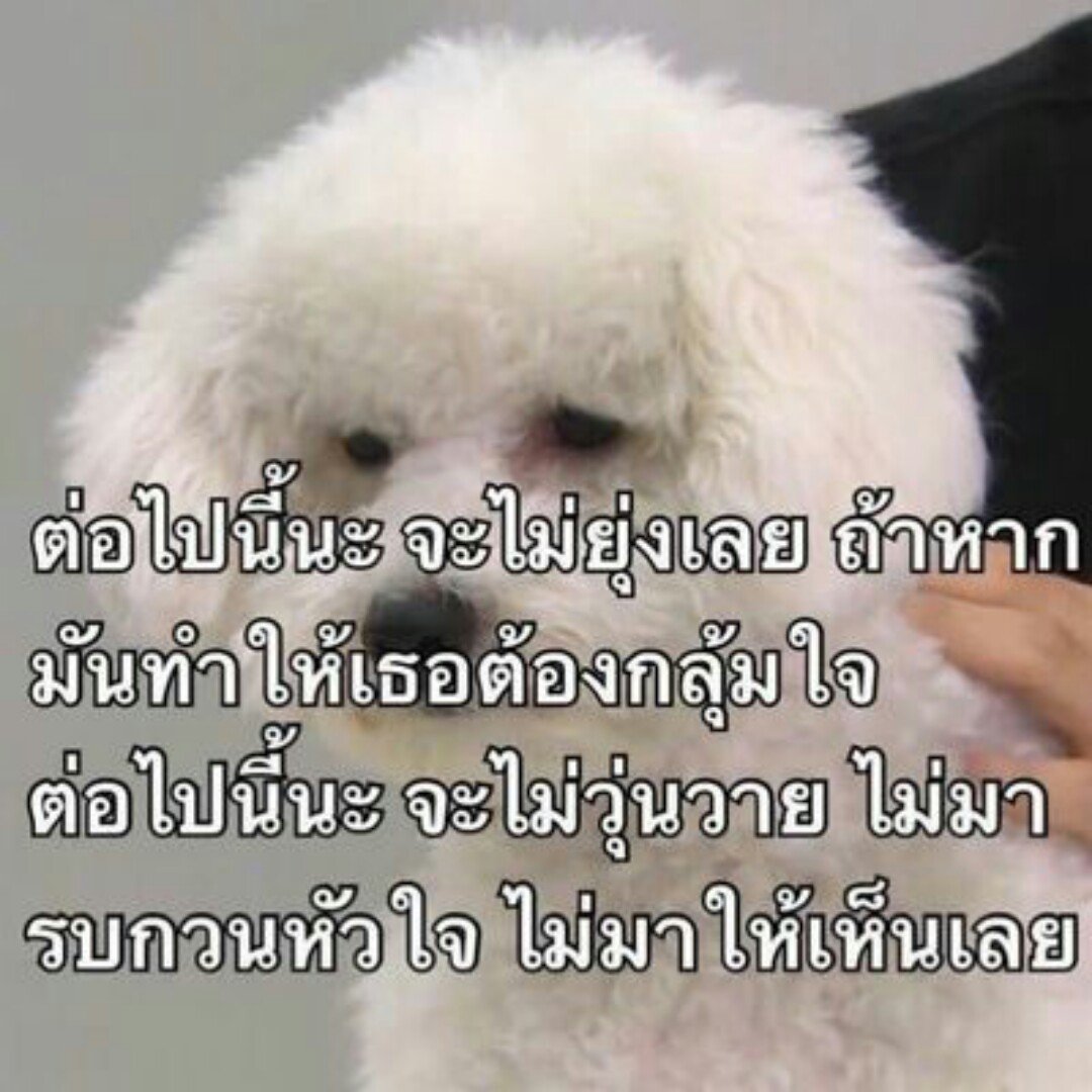 Txwit tweet media