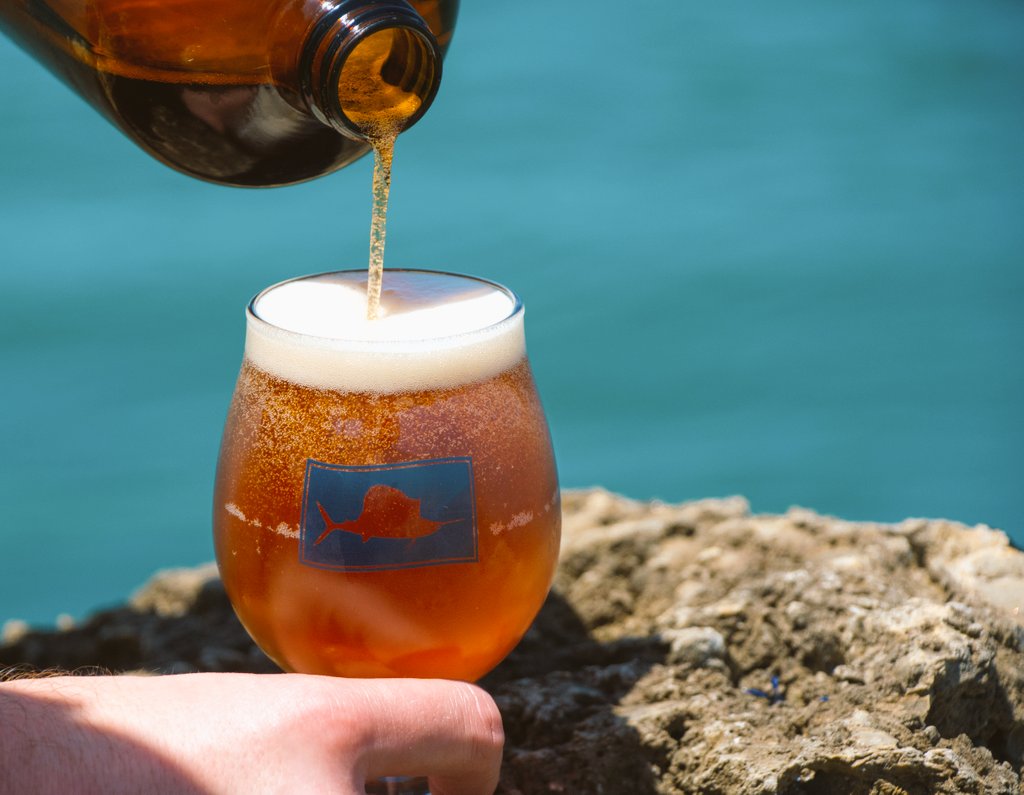 SailfishBrewing's tweet photo. THIS FRIDAY!
Join us here at Sailfish for the release of our new DIPA, Canal-44!  A blueberry-lime double IPA with a cause!  For every Canal-44 sold, we're donating $1 to Citizens 4 Clean Water!  Come drink beer and support a great organization!
#c4cw #dipa #sailfishbeer https://t.co/bvBe3CiEAj