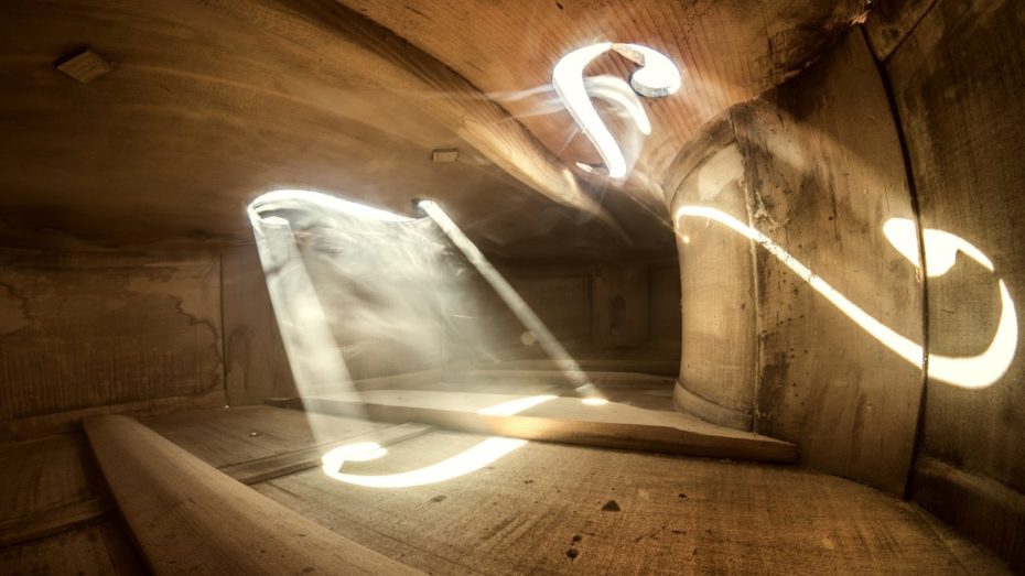 Dentro de un violonchelo. Fotos de Adrian Borda
