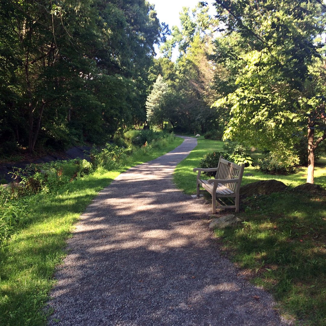 rutledgeprop's tweet photo. One of Wellesley's greatest treasures; such a beautiful walking trail right through the town. Go out and enjoy! #brookpath #brookpathliving https://t.co/walJEbnsTY