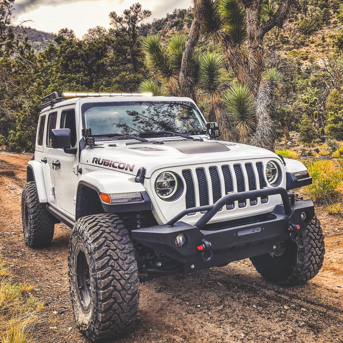 Jeep's tweet photo. Tread where others won't.

📸: Alex J. https://t.co/17ktakxMbm