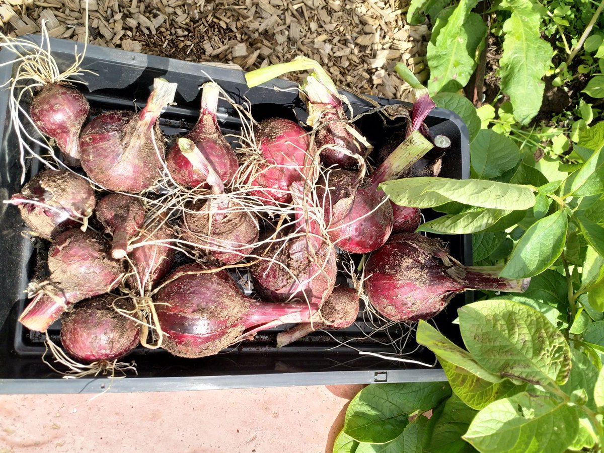 PerthAcademyOrganics tweet media