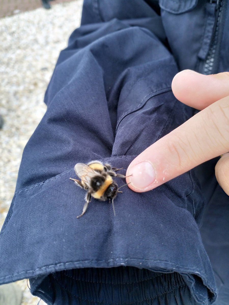 PerthAcademyOrganics tweet media