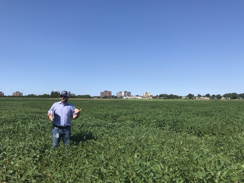 Grain Farmers of Ontario (@GrainFarmers) | Twitter