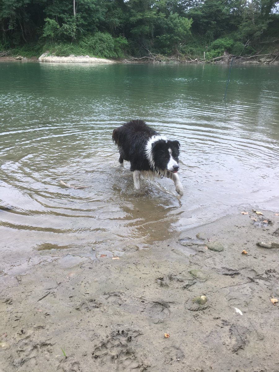 reverberg's tweet photo. Off course I’ll tread carefully and not dirty your car Dad:)
#holbobs @BCTGB https://t.co/AqwwtMTxvi