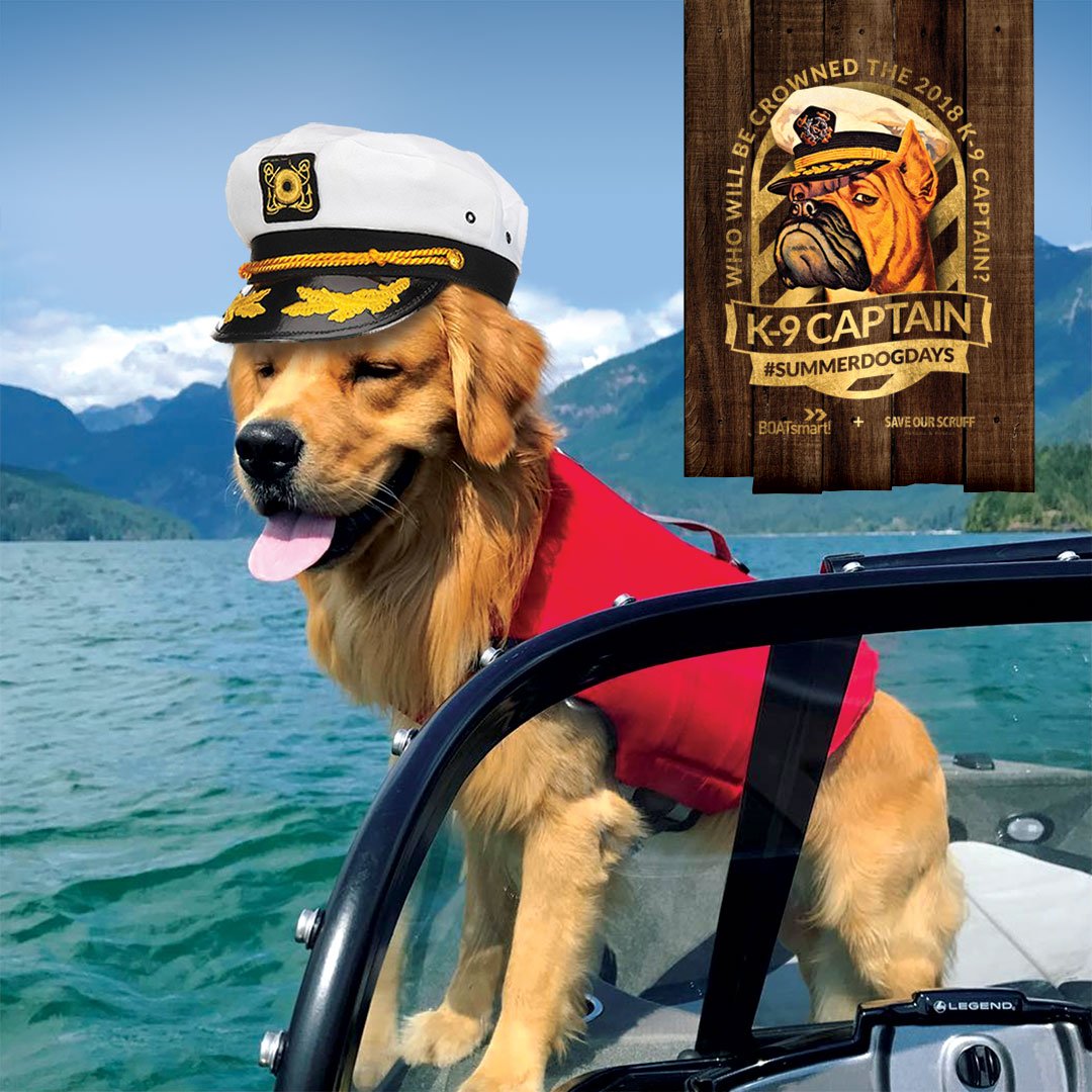 favourite dog boating moments 