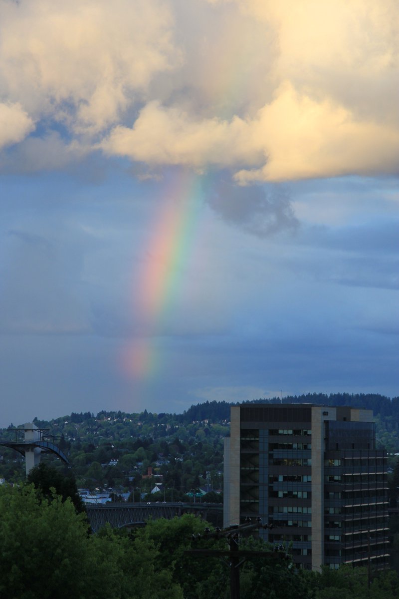 RandyRoaming's tweet image. 