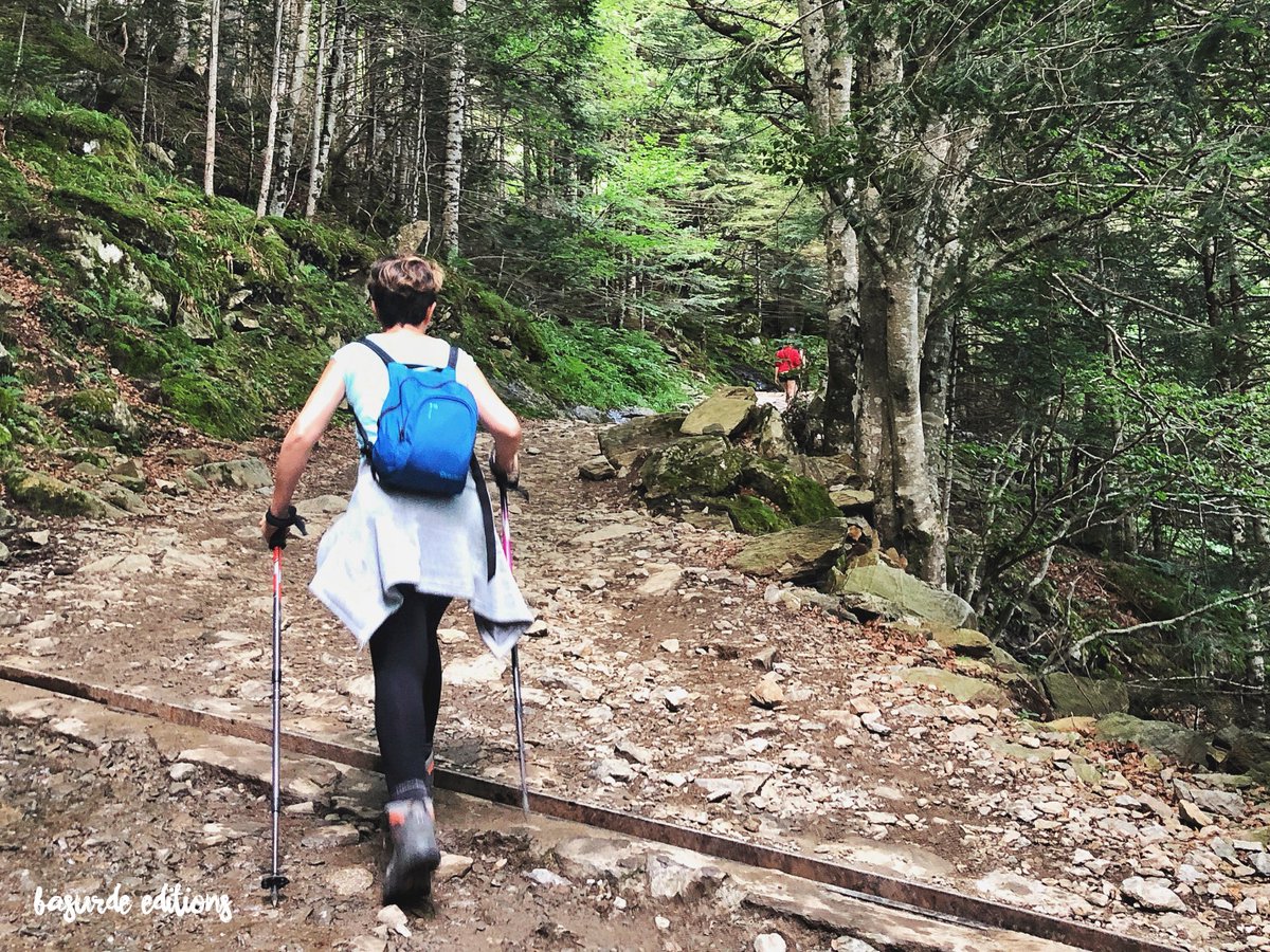 Les Pyrénées ES tweet media