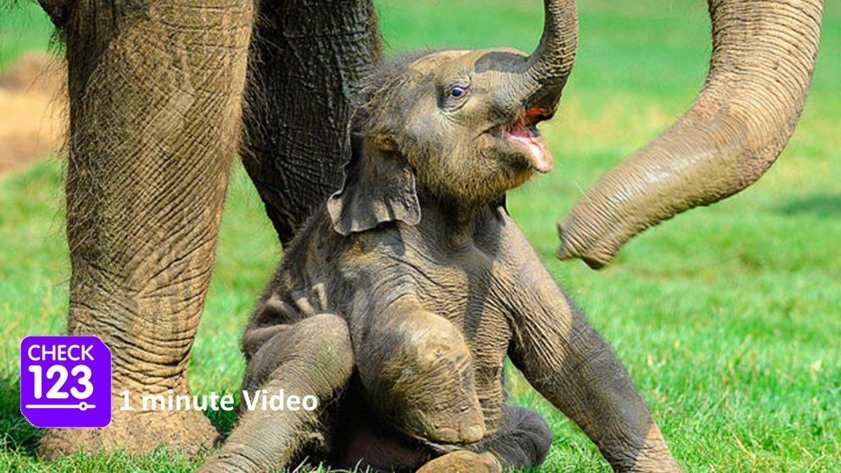 Check123 NATURE tweet media