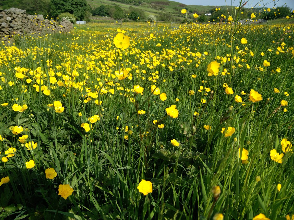 Karen and Stephanie are taking the next two weeks as annual leave. Please note that the Pensions for Purpose office will be closed during this time although you can still access our content via pensionsforpurpose.com. Tweeting again from 3/9/18!