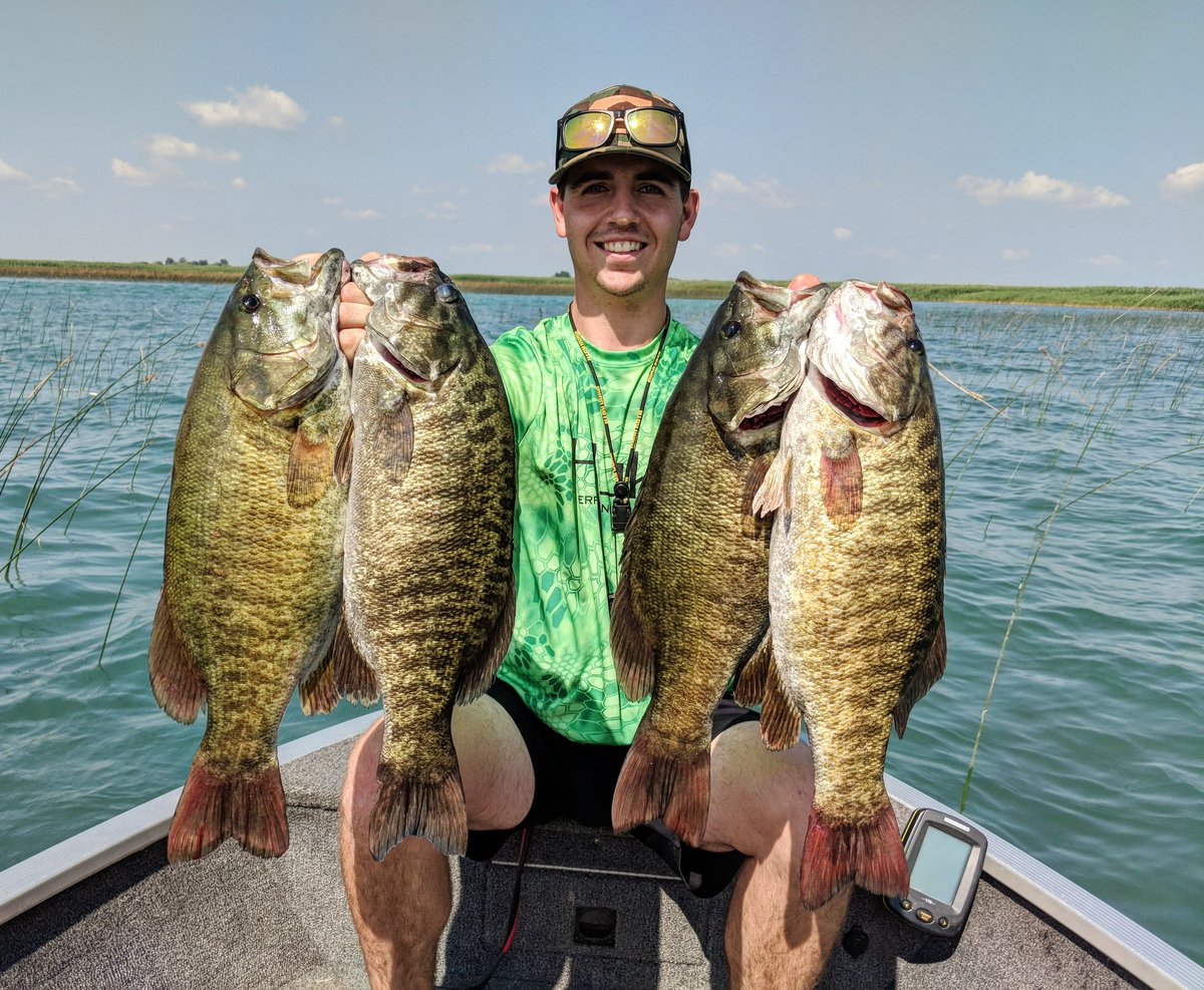 AdlerEvan's tweet photo. Haven't tweeted too much this summer but here are just a few pic of what lake St Clair has to offer for smallie fishing https://t.co/sm1ayyiaNl