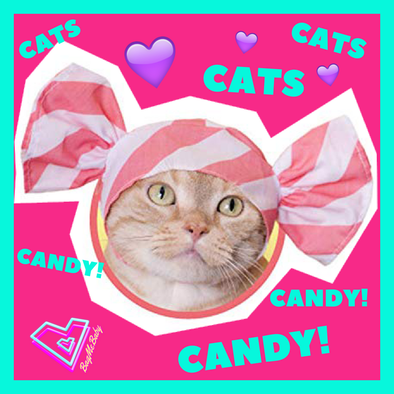 BagMeBaby's tweet photo. Who else loves cats &amp; candy??  😻🍬 💜 🙋‍♀️  🙋‍♂️ #catsandcandy #whatsnottolove https://t.co/qY5RDrlgfG