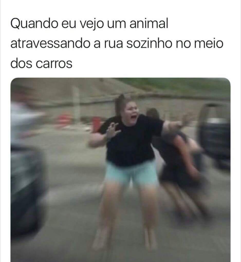 Larissa Thomazzini (@thomazzini_lari) on Twitter photo 