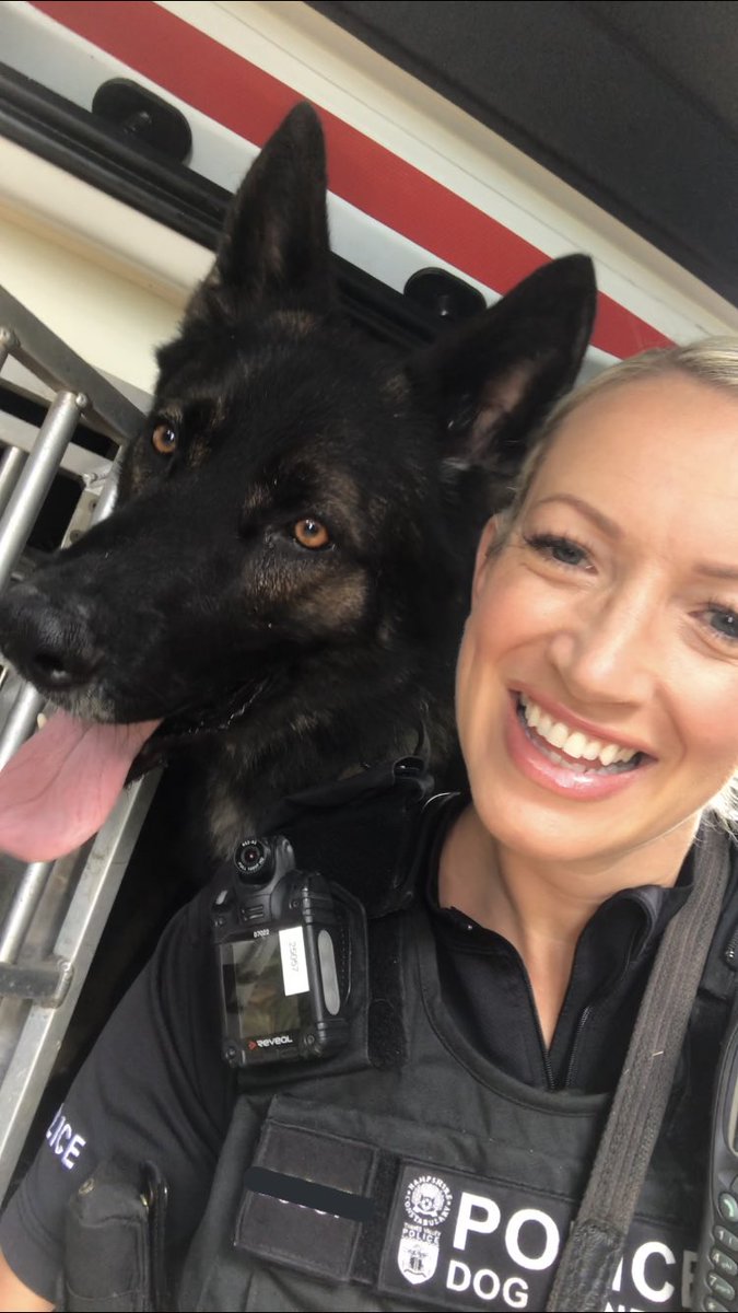 pd_chase's tweet image. It’s the chauffeur’s birthday today &amp;amp; as a special treat she’s got to spend it with me on a late shift 😁👮🏼‍♀️🐕