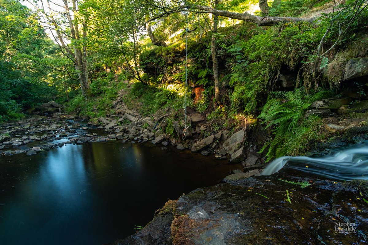 SPDPhotography's tweet image. Please retweet if you 💛 #waterfalls as much as I do 👍 📷 #yorkshire #nature #landscapephotography @BBCEarth @EarthandClouds #uk #water #trees #woodland