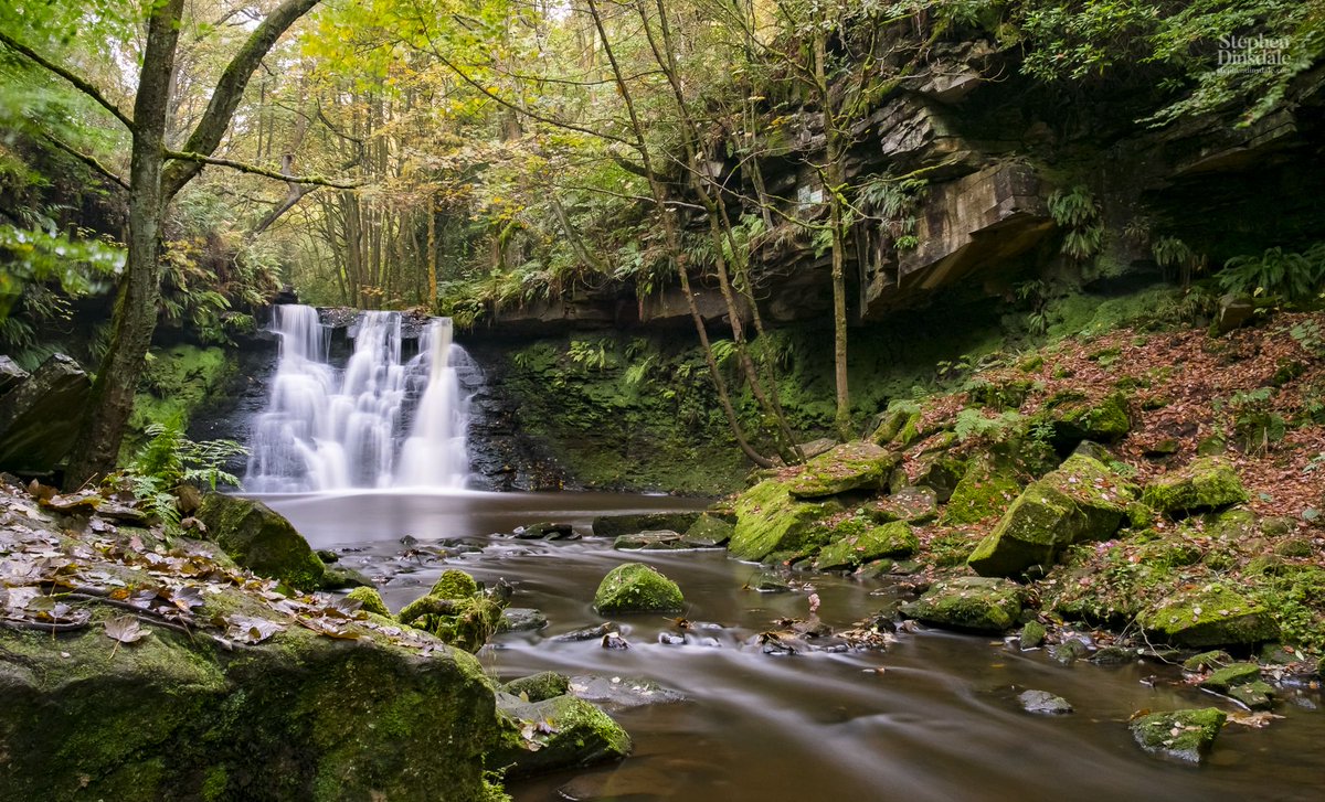 SPDPhotography's tweet image. Please retweet if you 💛 #waterfalls as much as I do 👍 📷 #yorkshire #nature #landscapephotography @BBCEarth @EarthandClouds #uk #water #trees #woodland