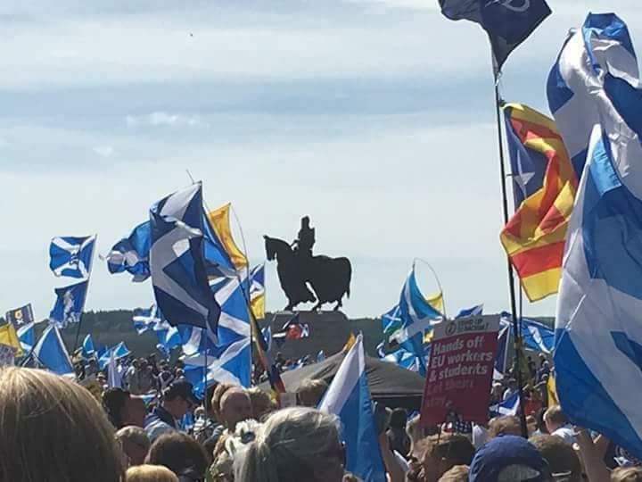 IndyInOurTime's tweet photo. Dundee here we come.Never think you are on your own Saor Alba https://t.co/iQxdcnEICv
