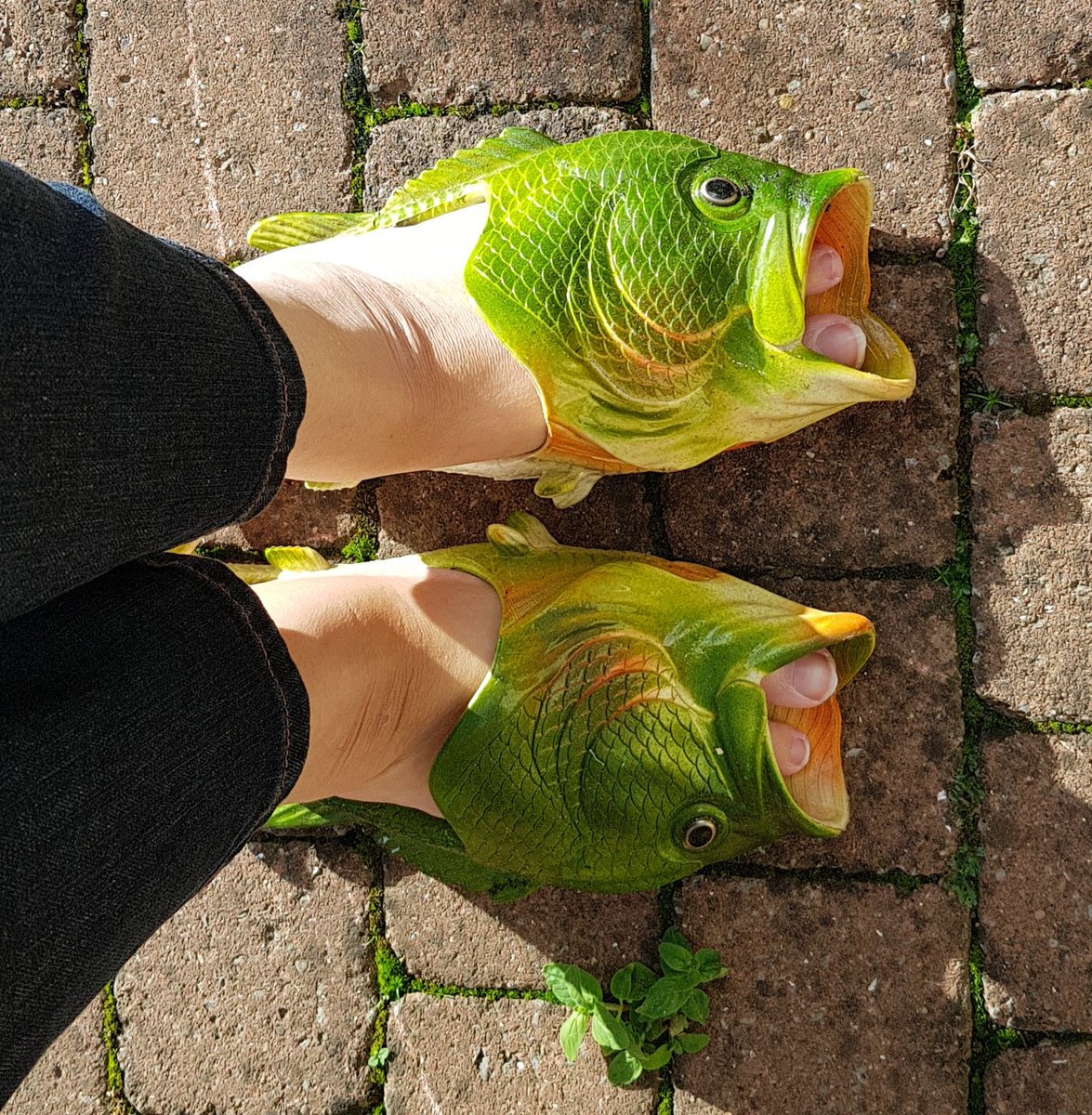 riverside1972's tweet photo. When you find the perfect shoes to go with your new outfit #fishfeet #flipflop https://t.co/YcotMHUZtq