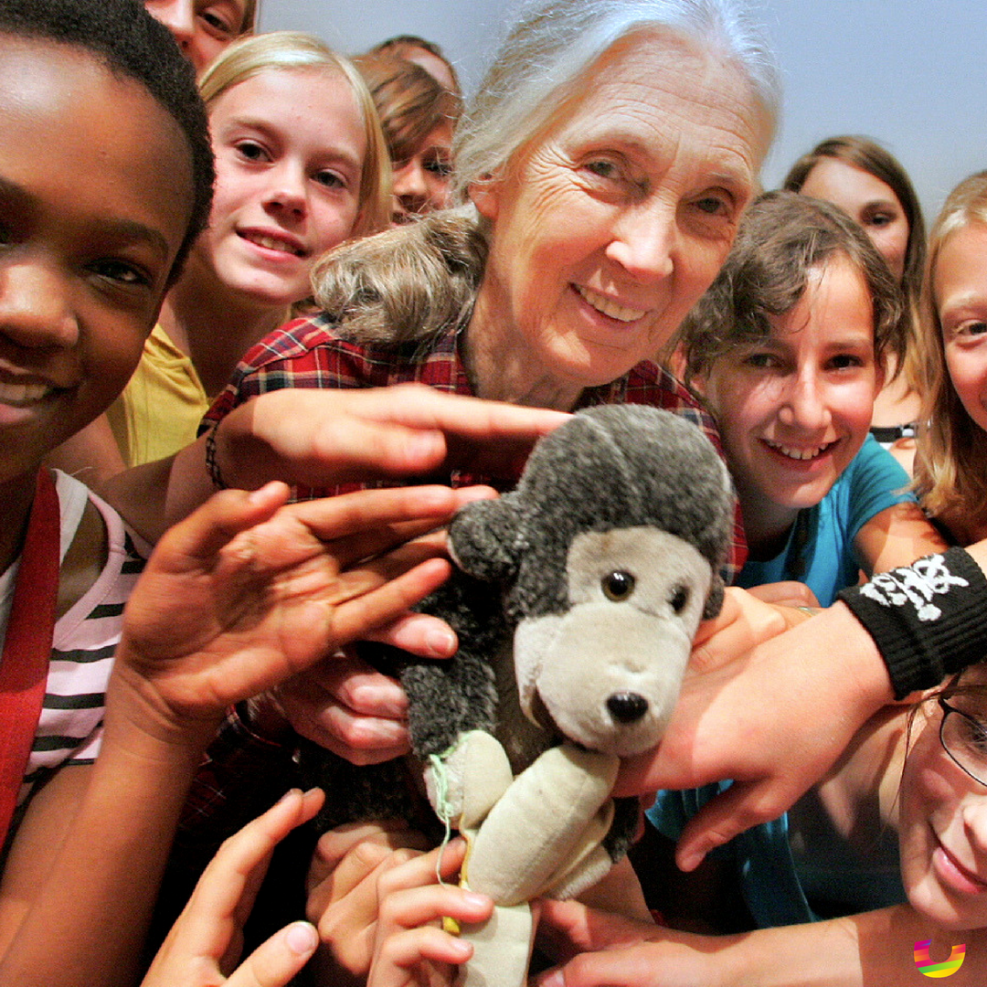 WOHASU's tweet photo. Jane Goodall, the world-renowned conservationist travels more than 300 days a year, spreading her message of peaceful co-existence with nature and one another. She is proof that travel—and travelers—can change the world! #NiceGestures #WorldPeace #Community #GlobalHappiness https://t.co/H7RaIvG2Nc
