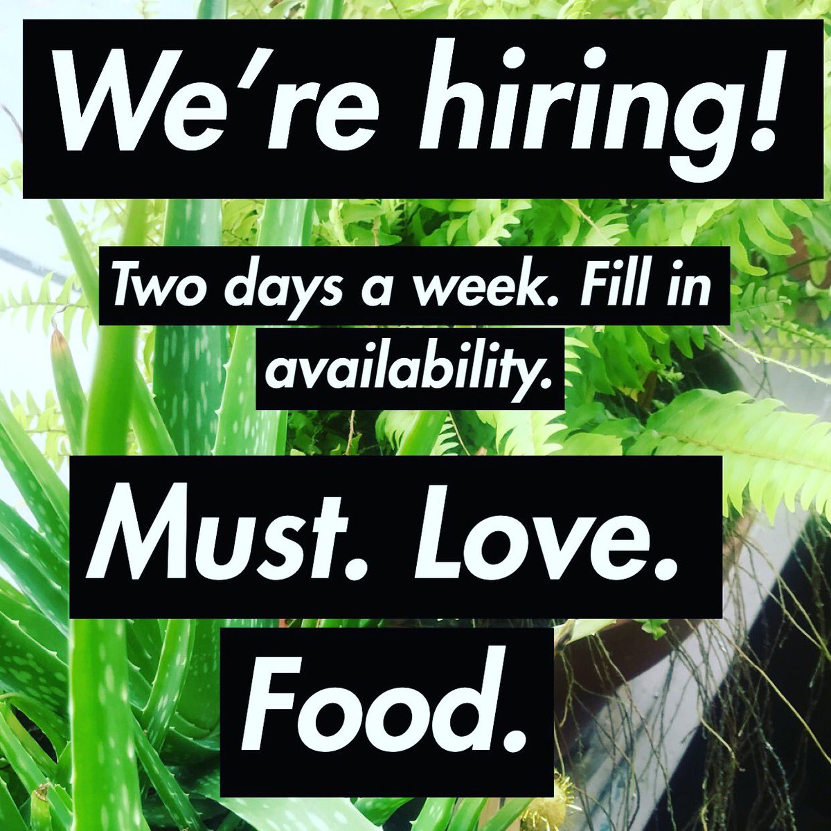 Drop us a line. Let us know why you would be a good fit here at the shop! Maureen@originalsub.com #originalsubshop #hiring #roomtogrow