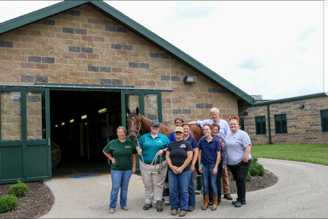 Park Equine Hospital tweet media