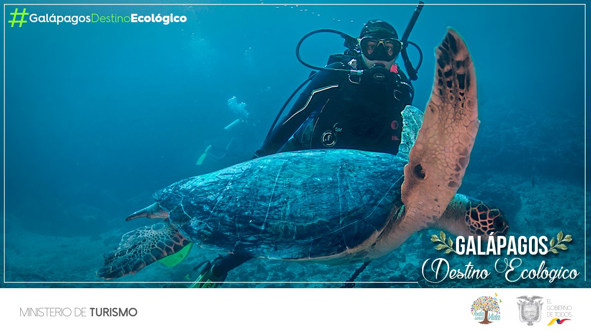 Las encantadas están presentes en la quinta edición de los Premios Latinoamérica Verde. La red de guías de Galápagos, herramienta digital de monitoreo de turismo, fue seleccionada como una de las mejores de la categoría fauna. #GalápagosDestinoEcológico 👉 bit.ly/2MqQ4Qw