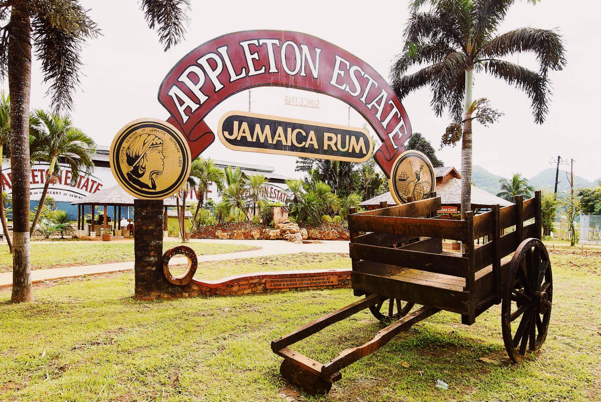 CaribCookSchool's tweet image. RT @IslandRoutes: Is there better way to celebrate #NationalRumDay than rum tasting at the Appleton Estate in Jamaica?! 🇯🇲 
#LiveFunner