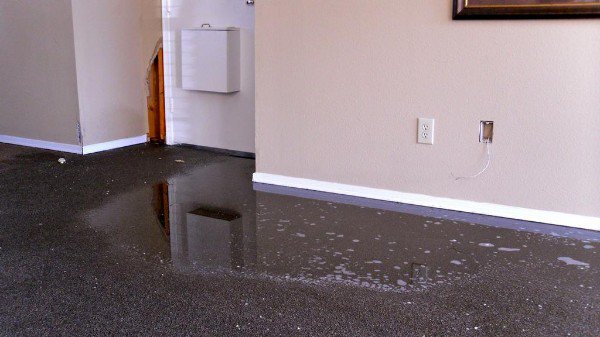 Depending on the source of the water intrusion, wall-to-wall carpeting can be saved through proper drying and cleaning. Call us today to help you determine the necessary steps to be made to save your carpeting. #waterdamage #carpet