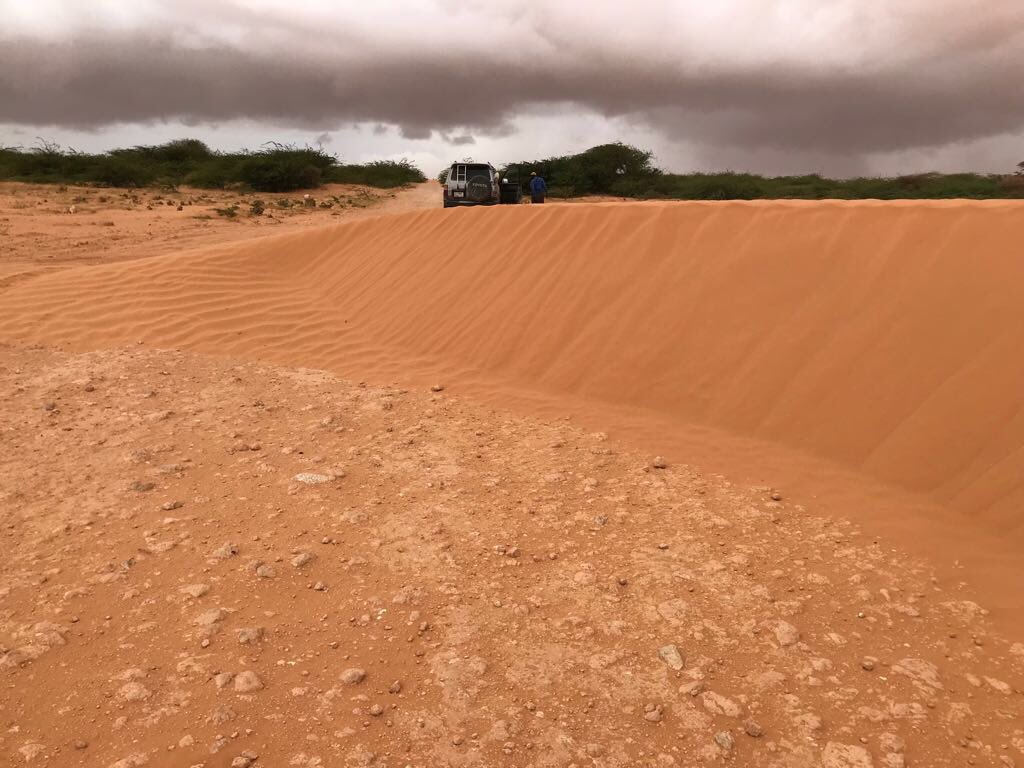 MohammedYarrow's tweet photo. To the people of Hobyo town, their biggest threat is not Al-Shabaab, but Sand Dunes! It encroaches on homes, schools &amp; even blocks roads. It overtook some people’s homes and displaced them! Grateful if you share with me any past initiatives that were successful in stopping dunes https://t.co/f39hfTwd2T