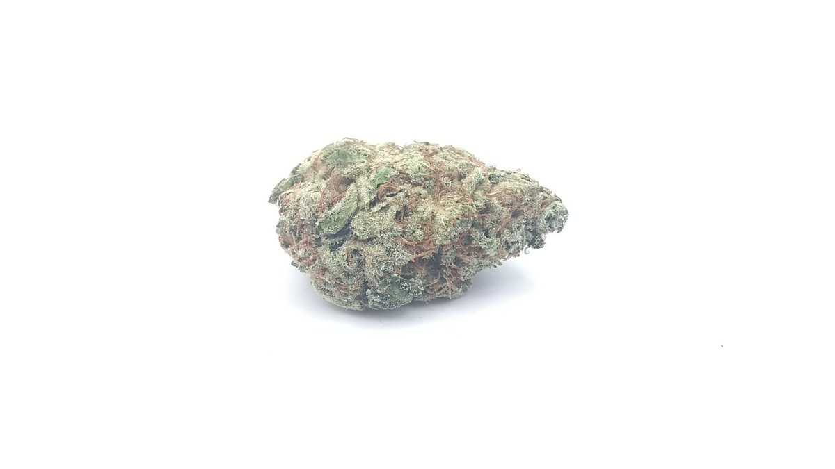 getwhitepalm's tweet image. Ouuuuuuu baby. The #BCBud famous #Hempstar strain is back in stock. We only ever get one drop of this guy per year. Right now. Hot, hot, hot.

getwhitepalm.com/product/hempst…