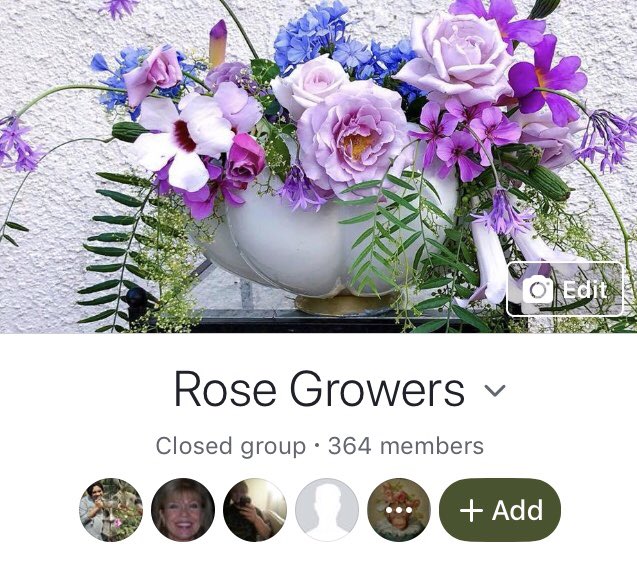 OjibweDrum tweet media