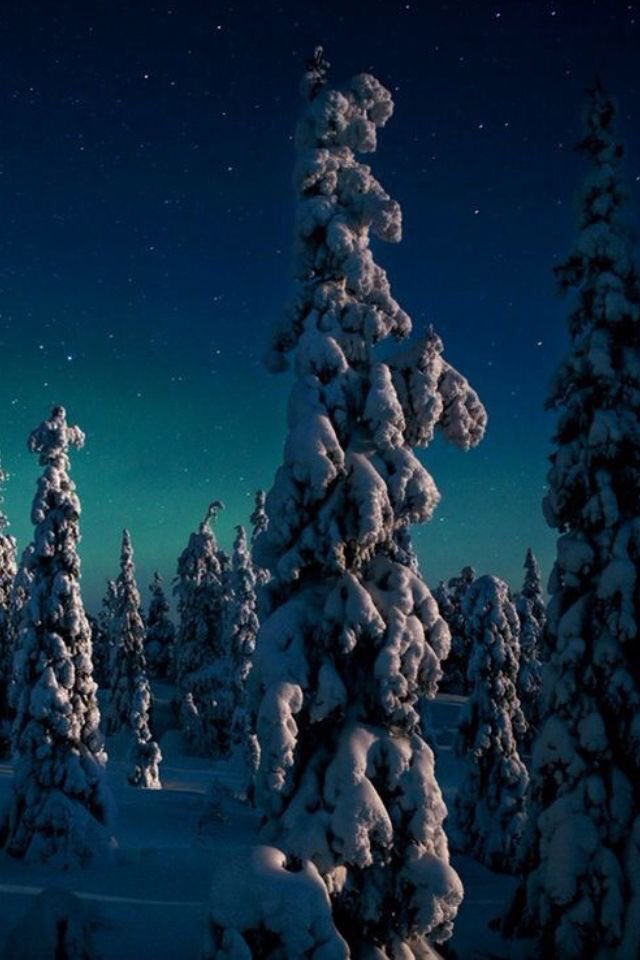 rebeccaabdu's tweet photo. Nato nella steppa, ricordati della steppa;
nato nella taiga’ ricordati della taiga’. @CasaLettori #PoesieDalMondo #Evtusenko https://t.co/i5PVu2lhjD